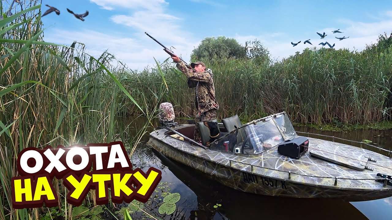 Охота на утку в Страхолесье На Киевском водохранилище Подстрелил щуку