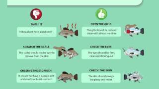 Clean Fish Better Life Campaign Flyer “How to ensure safe fish consumption”  FAO FI (EN)