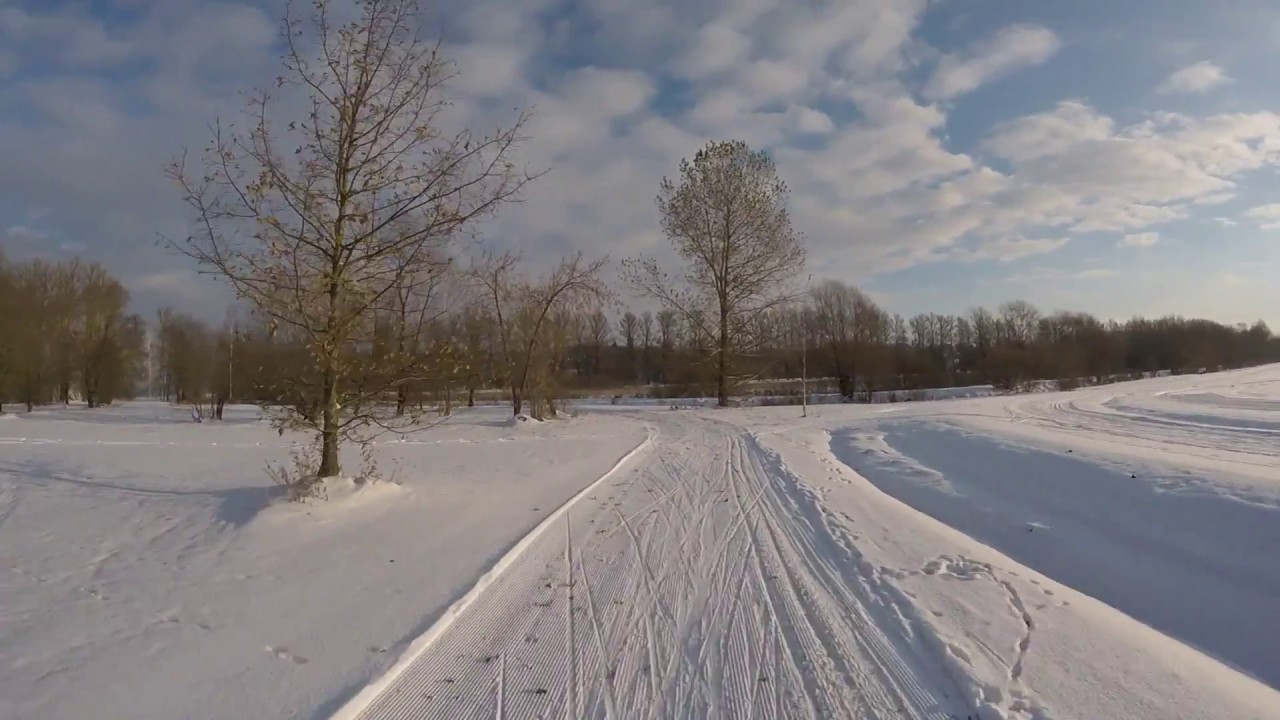 Sunny cross-country skiing in Estonia