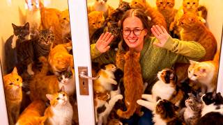 Animal Hoarder House Compilation 🙀 Worst Hoarders with Cats, Dogs, Rats, Rabbits