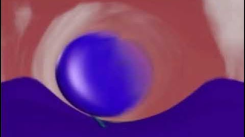 Anim8or bird and worm animation I killed 2.0