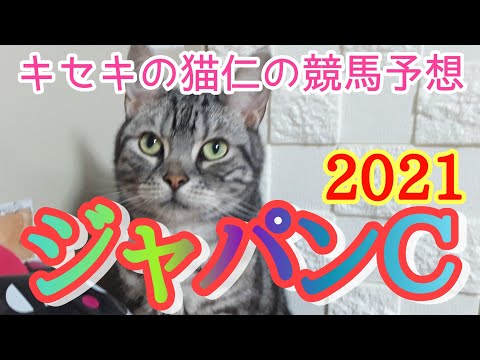 ジャパンカップ2021  キセキの猫仁の競馬予想