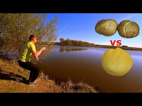 Картошка, картошка с маслом или мастырка?
