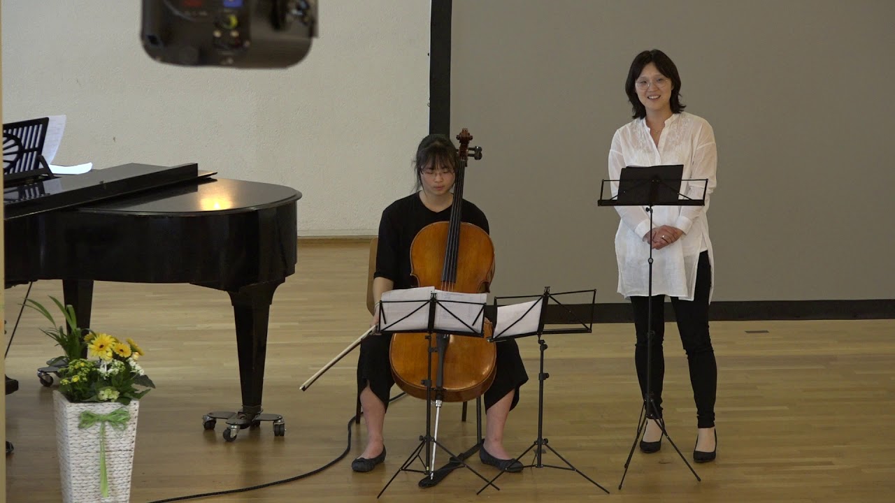 You Raise Me Up - Gesangsolo