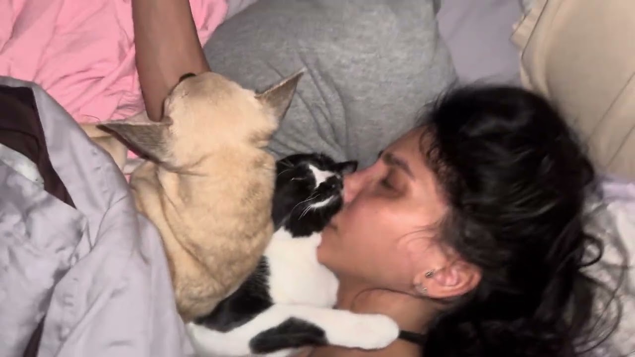 11 בינואר 2026