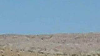 Mysterious Desert Flying Objects
Can you guess what these terrifying apparitions are? Mysterious Desert Flying Objects