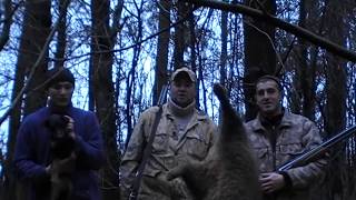 Охота С Норными, Двухдневное Спасение Собаки И Двойной Бонус В Конце.