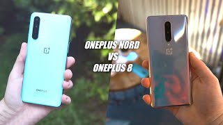 Oneplus Nord vs Oneplus 8 | What's The DIFFERENCE***