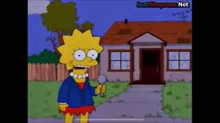 they call her the cat lady meme template (simpsons)
