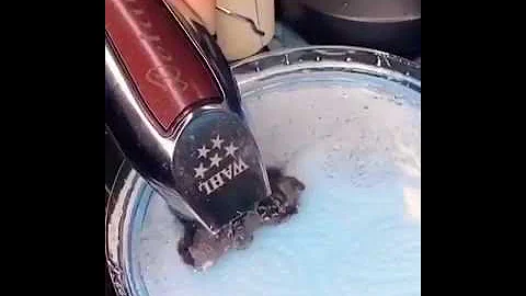 PARIS BEAUTY SUPPLY - H-42 Products VIRUCIDAL ANTI-BACTERIAL H-42 CLEAN CLIPPERS®