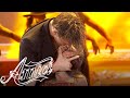 Amici 22 - Mattia - Epoca