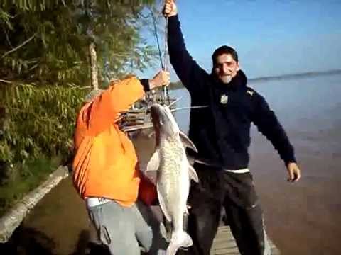 Casa De Pesca Zarate Mercadolibre Com Ar Casa De Pesca Zarate Mercadolibre Com Ar