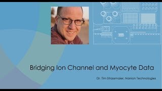 An update on progress of the CiPA Ion Channel Work Stream using the SyncroPatch 384PE and Patchliner