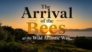 The Arrival of the Bees at the Wild Atlantic Way in Ireland