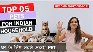 TOP 5 PETS IN INDIA | Best Pets for India | Best Pets for Kids | Small Home Pets | The Tails Tale