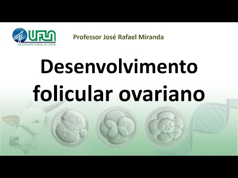 Desenvolvimento folicular ovariano