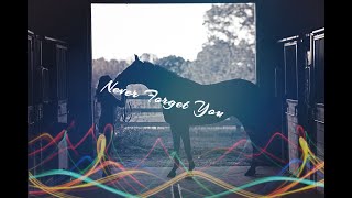 Never Forget Yousandstone Horses Team