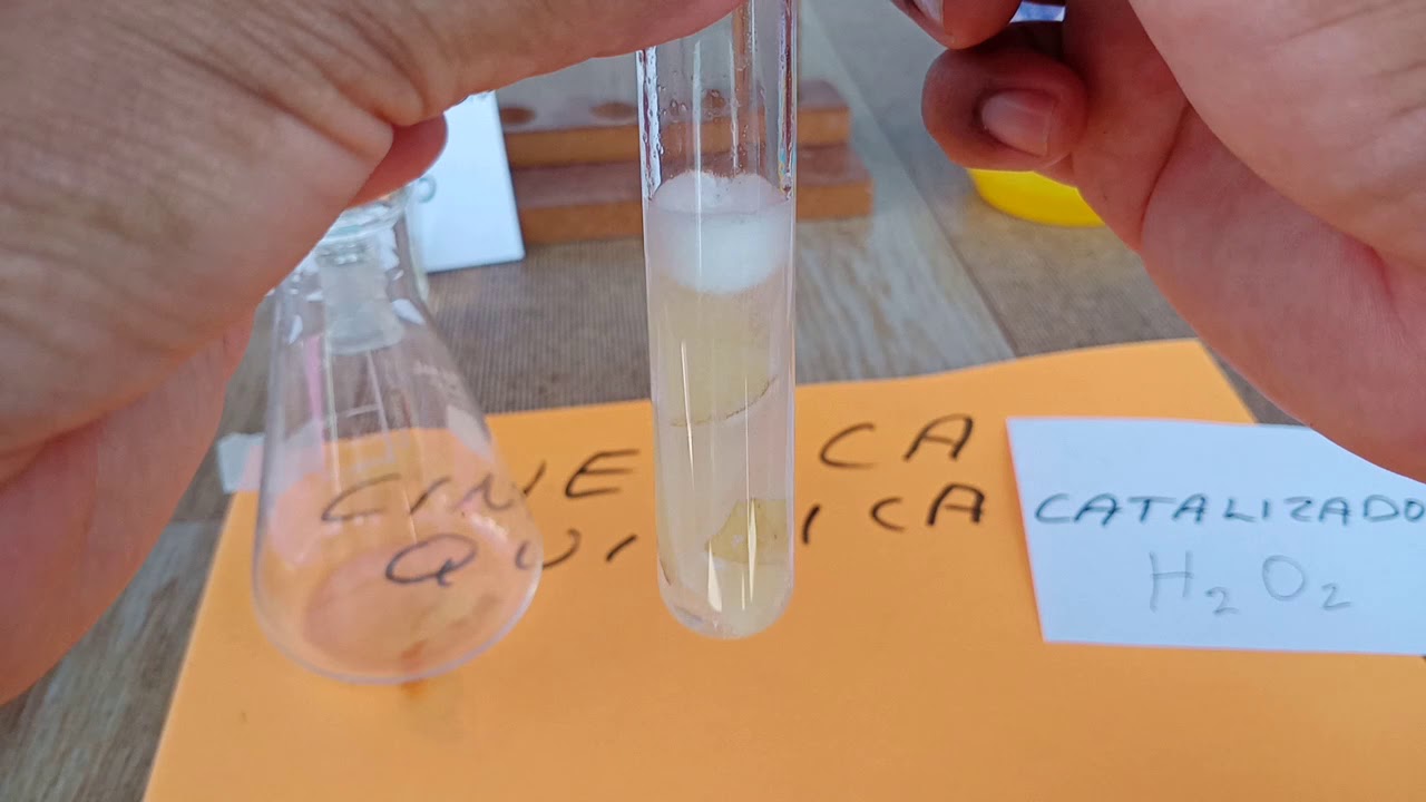 CINÉTICA QUÍMICA: Factores que afectan la velocidad de una reacción