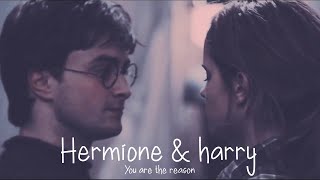 Harry &amp; Hermione // You&#39;re the reason