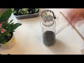 Terrarium, Make a Terrarium, Quick and Easy