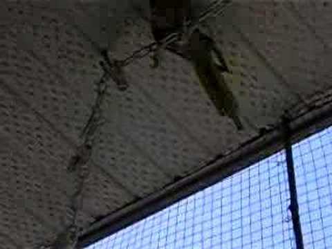 Little acrobat - YouTube