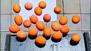 🎈Breaking Glass Bottles and Balloon drops🔥- Crushing Crunchy & Soft Things🍾💥⚠️