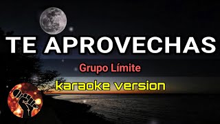 Te Aprovechas - Grupo Límite (karaoke version)