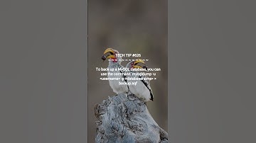 How to back up a MySQL database :: 2025-08-27 #shorts #TechTips #dotKey