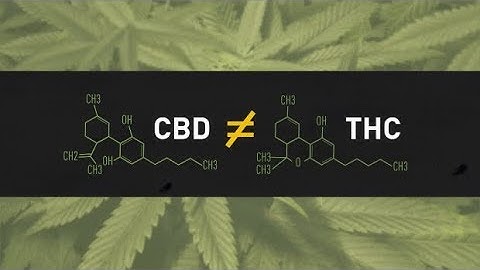 CBD: Can it help you? What are the risks?