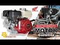 Mantenimiento 🚨 Motor Gasolina ⚙️ - Maquitec