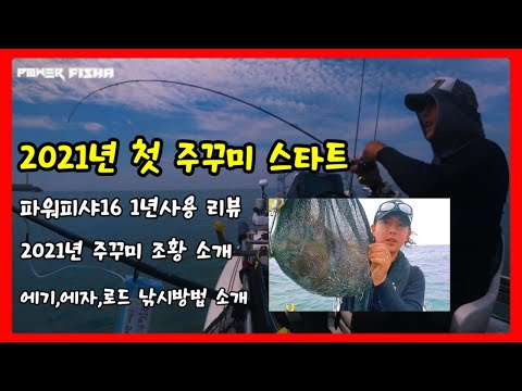 2021년 주꾸미 시즌 스타트