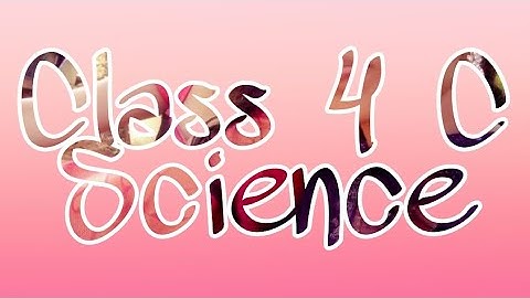 Class 4 C Science Chapter 3 The digestive and excretory system session  2 subject science  1