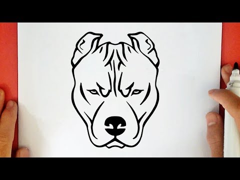 Vídeo: Com Dibuixar El Cap D’un Gos
