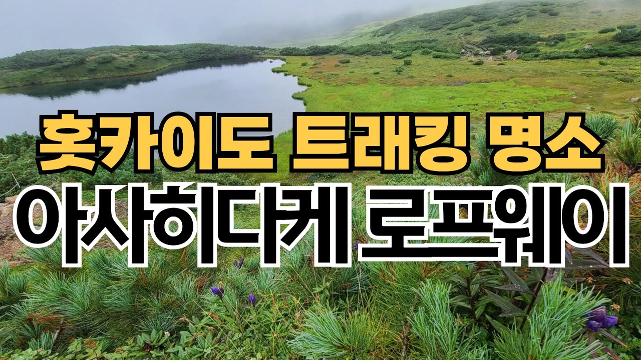 삿포로 여름여행 추천코스, 신치토세공항-삿포로-아사히카와-아사히다케 로프웨이, 다이세츠잔 (대설산) 트래킹 이야기 (日本の旭岳は- 大雪山国立公園-旭岳ロープウェイ)