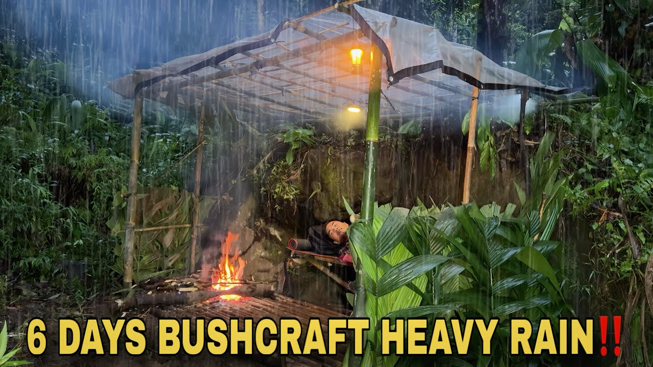 No Tent, Just Skills – 6 Days Bushcraft in Heavy Rain with My Friend‼️ ...