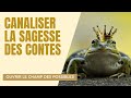 Canaliser la sagesse des contes  interview dhlne myranfiorini