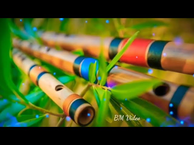 Tum Mile Dil Khile | Flute Instrumental | Flute Cover || Indian Musical World