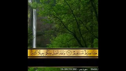 حالات واتس اب قرآن كريم💜🕊// بصوت القارئ :ماهر المعيقلي🕊🍃