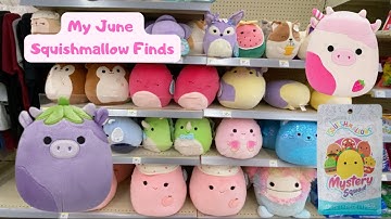 My June Squishmallow Hunting Finds | 2025