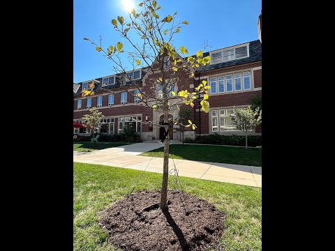 University YMCA 150th Anniversary Oak Tree Dedication