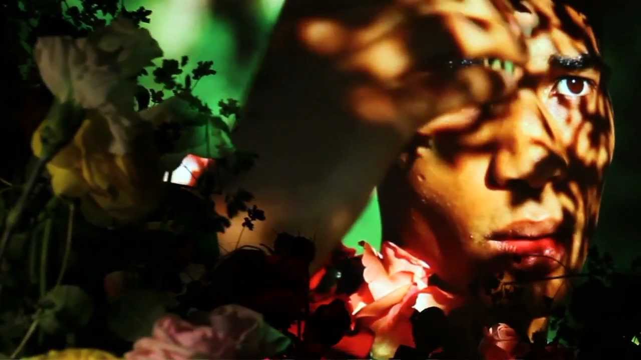 Bild från Wallenberg - Sunshine Taboo (feat. Ari Up)