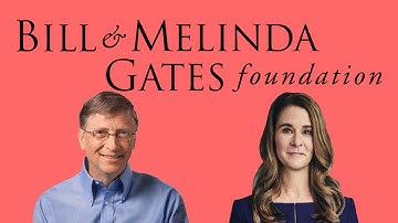 What does the Bill and Melinda Gates Foundation do?