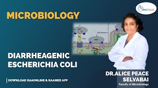 Diarrheagenic Escherichia Coli