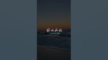 قرأن كريم بصوت الشيخ خالد الجليل تلاوه تهز القلوب ❤❤