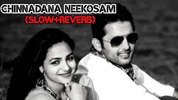 CHINNADANA NEEKOSAM (slow+reverb) || Ishq Movie || #bahaddurali