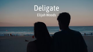 Delicate - Elijah Woods (Lyrics Video), is it cool that I said all that