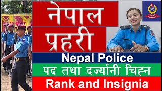 Rank in Nepal Police| नेपाल प्रहरी दर्जा तथा दर्ज्यानी चिन्न | NEPAL UPDATE| General Knowledge|