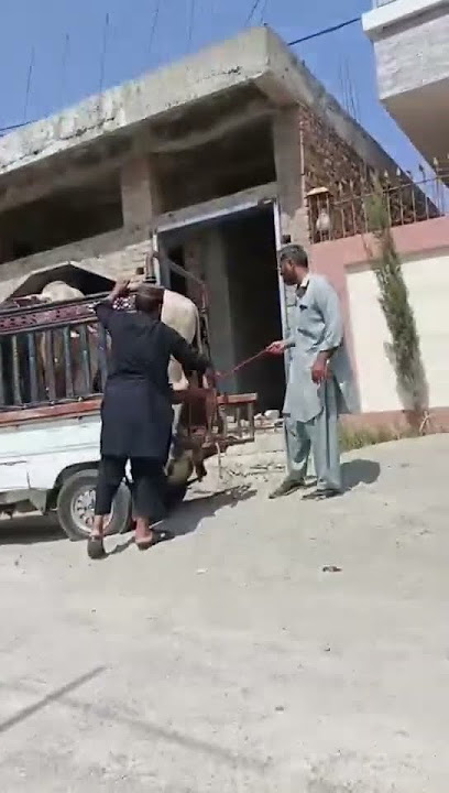 #03459025004 hasnain iqbal