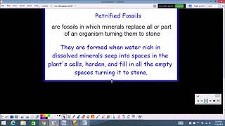 Famous petrified fossil information Profile