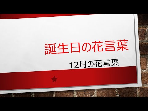 自分の誕生月ハーブを育ててみよう！意味と育て方の完全ガイド